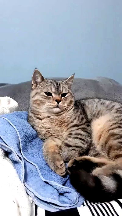 neomiconrad neomiconrad archive video