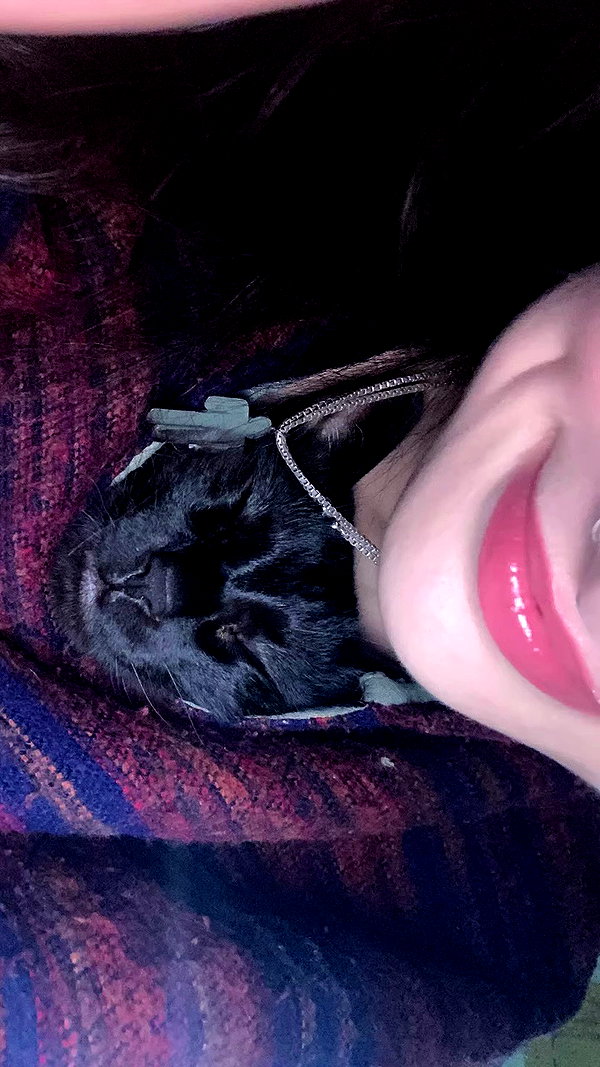 feelbetterinmysweater archive video preview