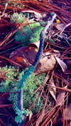 sarah.anne.dipity Altpins Profile Picture