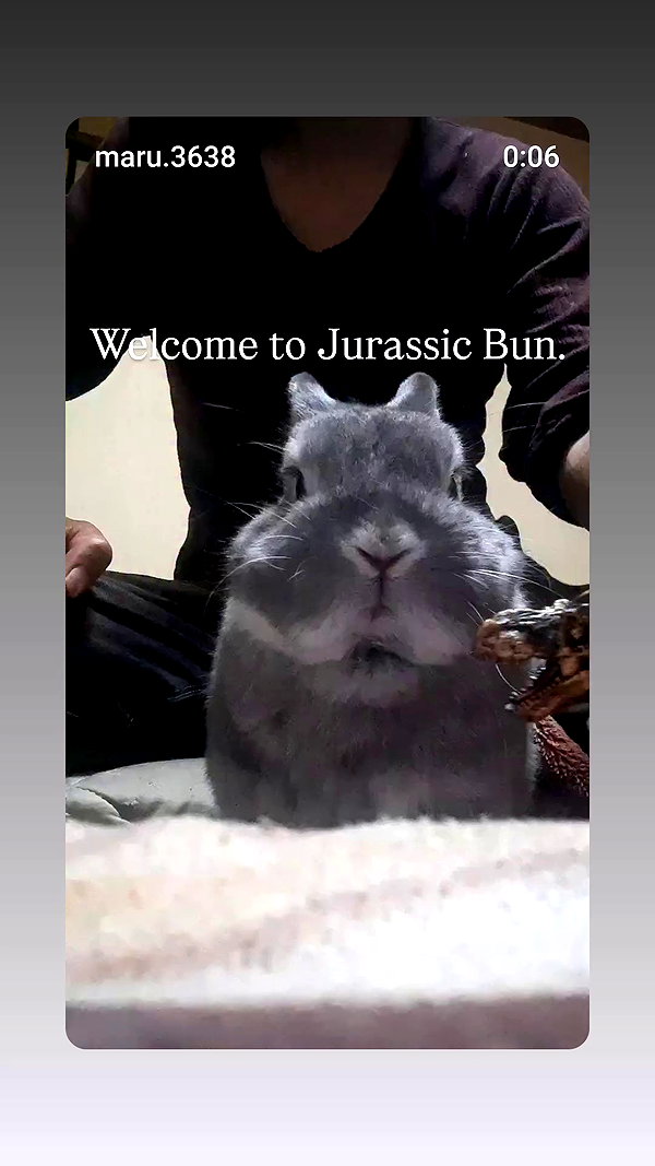 vexxedvulpine88 archive video preview