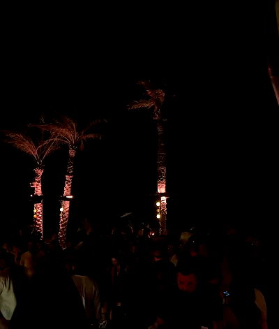 payton.r payton.r archive video