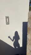 stateofrachel Altpins Profile Picture