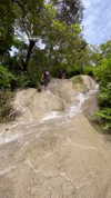 shelly_roberin Altpins Profile Picture