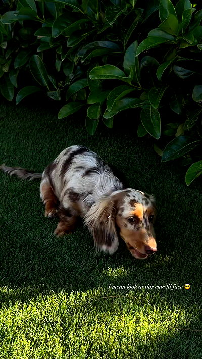 payton.r payton.r archive video