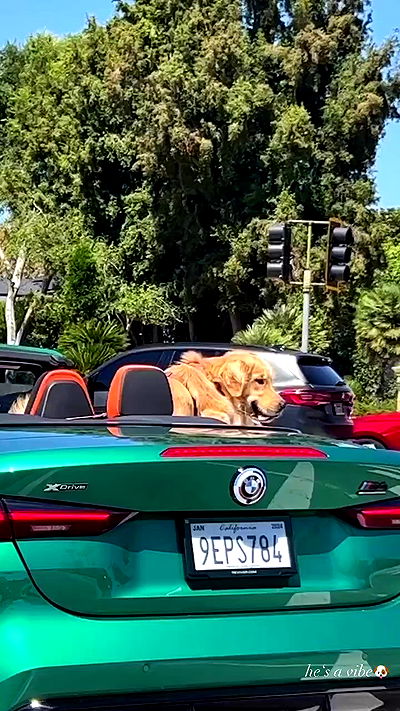 payton.r payton.r archive video