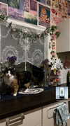 estr3iia Altpins Profile Picture