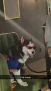 cclaire.bbear1 Altpins Profile Picture
