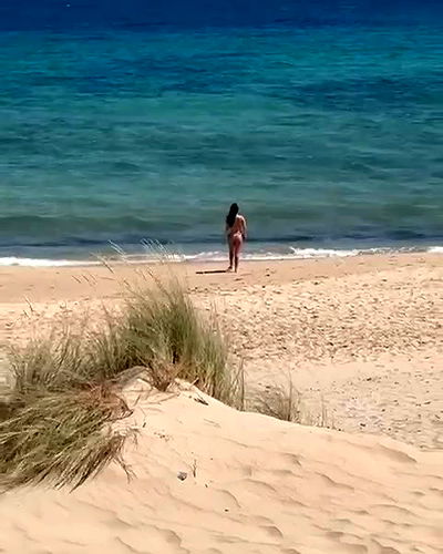 yam_adler yam_adler archive video