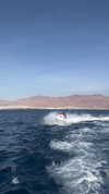 ziv_kabalo Altpins Profile Picture