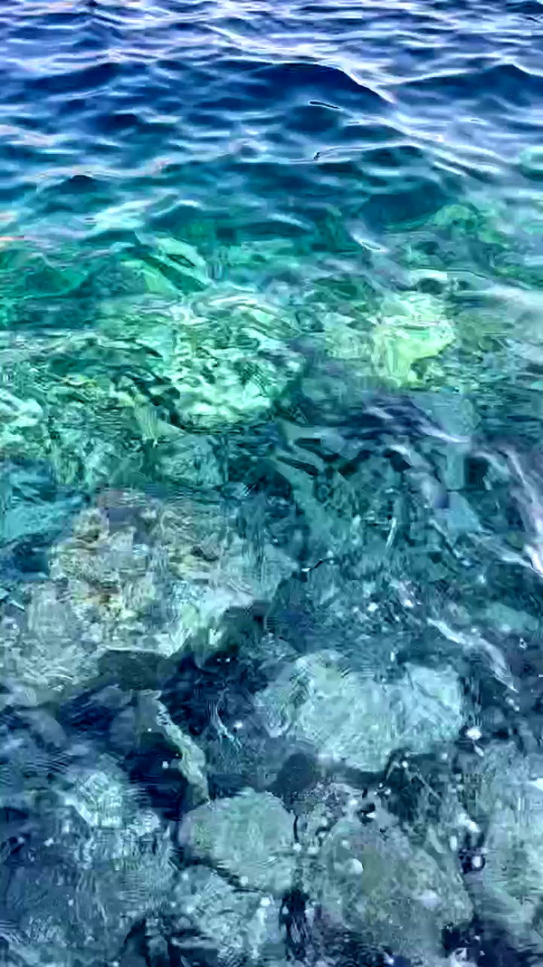 anyarodionov archive video preview
