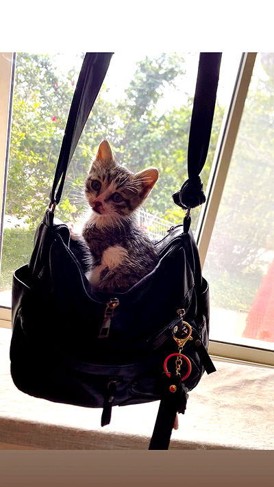 rawrxddd.07 rawrxddd.07 archive video