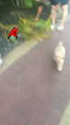 rozhinsafffar Altpins Profile Picture