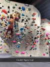 cclaire.bbear1 Altpins Profile Picture