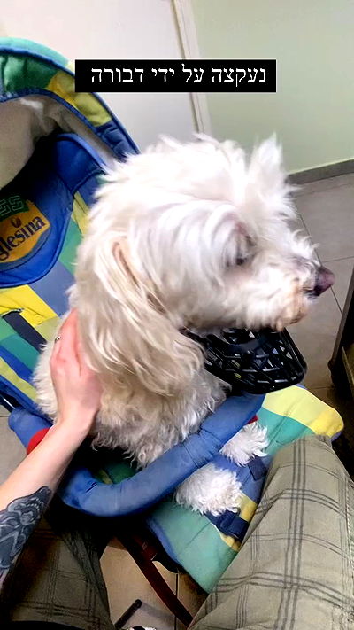 feelbetterinmysweater feelbetterinmysweater archive video