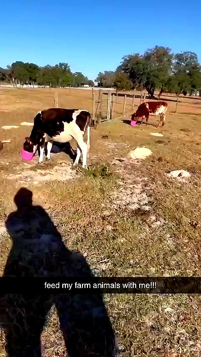 sophieraiin sophieraiin archive video