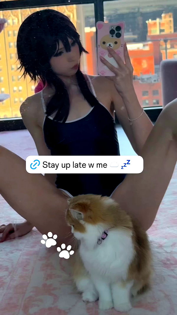pockycatt archive video preview