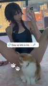 pockycatt Altpins Profile Picture