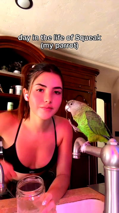 itsandreabotez itsandreabotez archive video