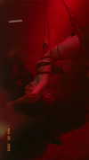 carolinesometimes Altpins Profile Picture