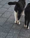 6a1it Altpins Profile Picture
