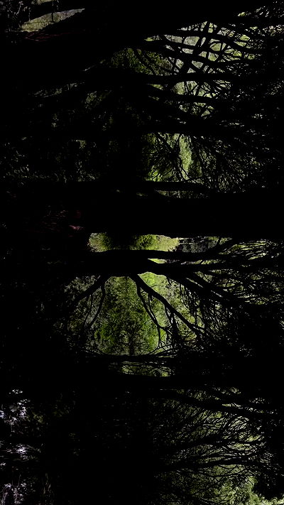 quincymood quincymood archive video