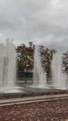 shirin_danin Altpins Profile Picture