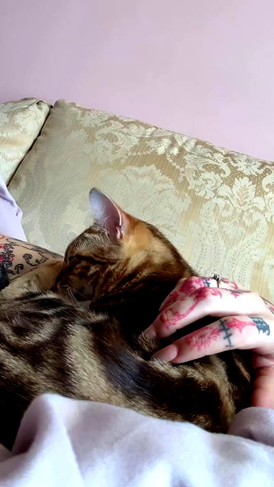 laurinchhhe laurinchhhe archive video