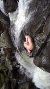 rafael.avcioglu Altpins Profile Picture