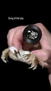 zz.eazoning Altpins Profile Picture