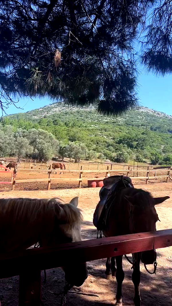 payton.r archive video preview