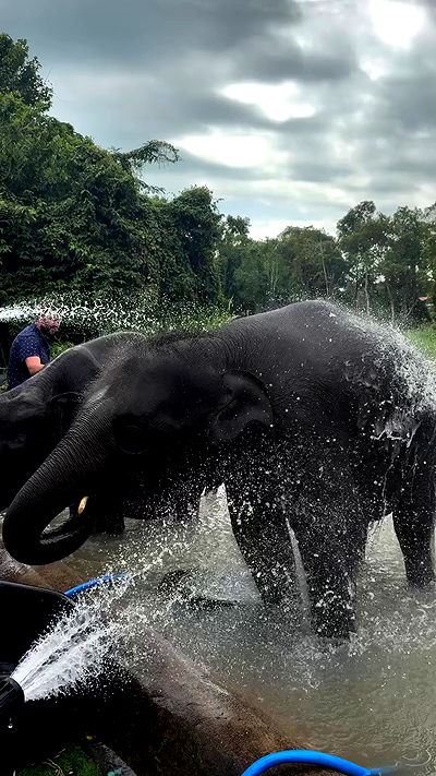 noammalka___ noammalka___ archive video