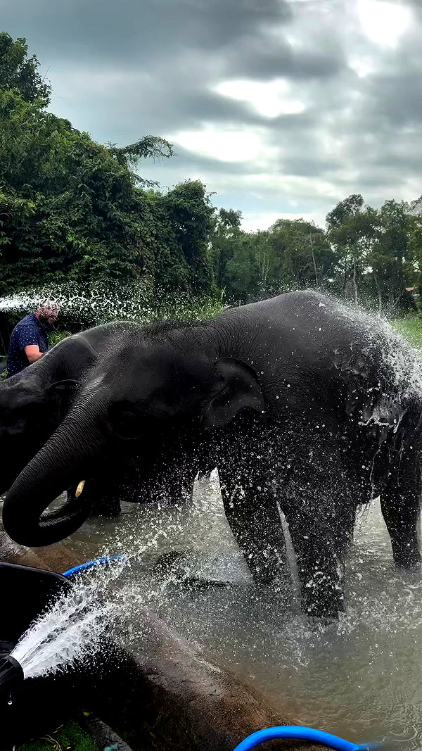 noammalka___ archive video preview