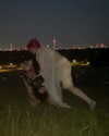florenceros.e Altpins Profile Picture