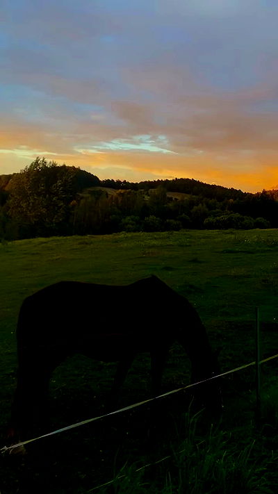 noa_zemlyanski noa_zemlyanski archive video