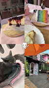 katsumiau Altpins Profile Picture