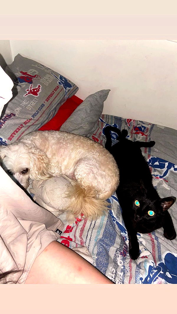 feelbetterinmysweater archive video preview