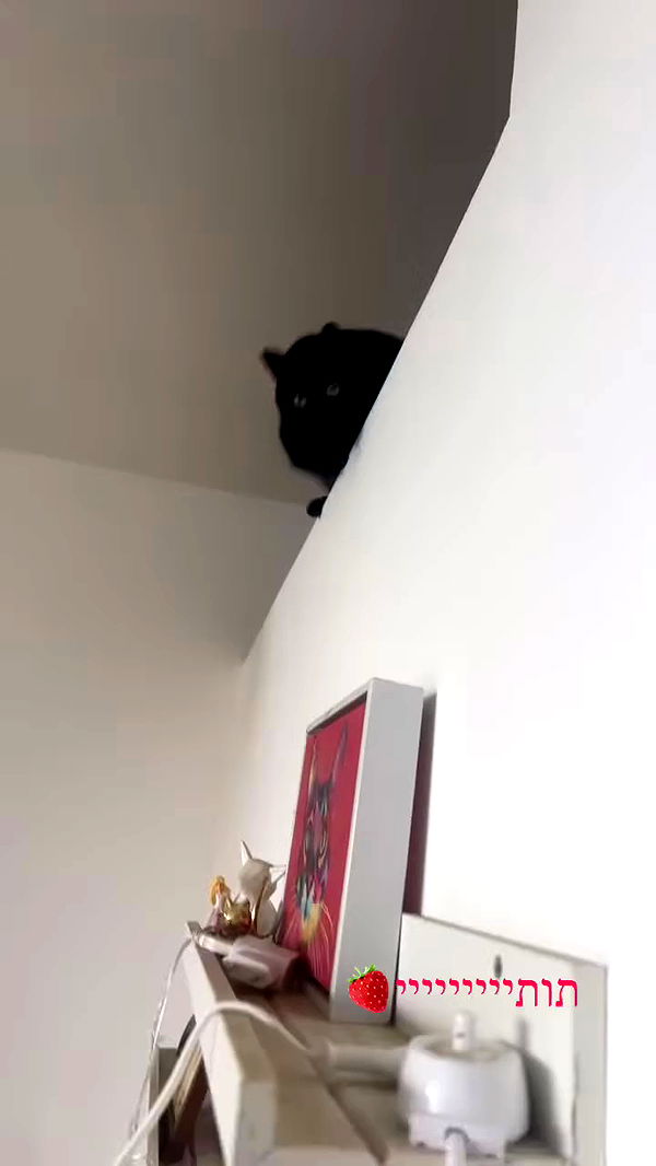 hellokittyangel666 archive video preview