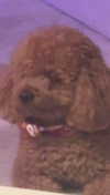 cclaire.bbear1 Altpins Profile Picture