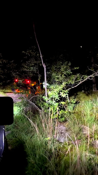 biton__adi biton__adi archive video