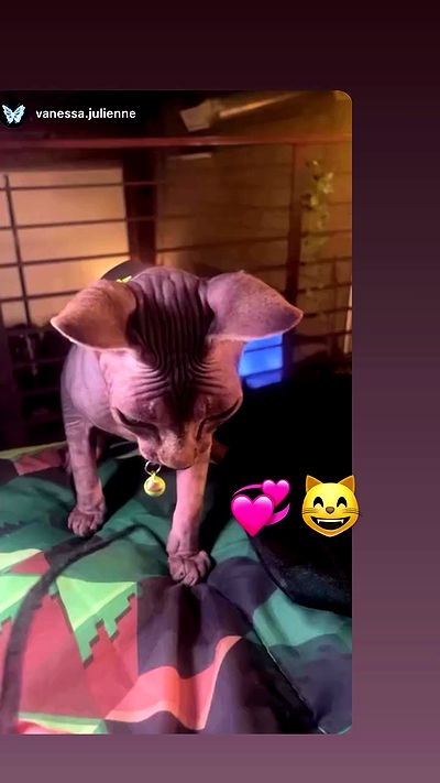 zommmbri zommmbri archive video