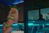 theestallion Altpins Profile Picture