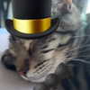 itshannahowo Altpins Profile Picture