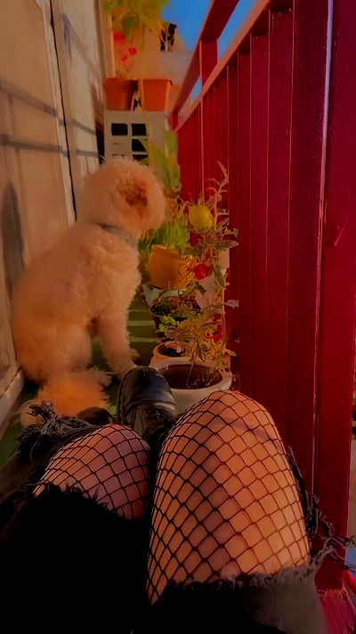 feelbetterinmysweater feelbetterinmysweater archive video