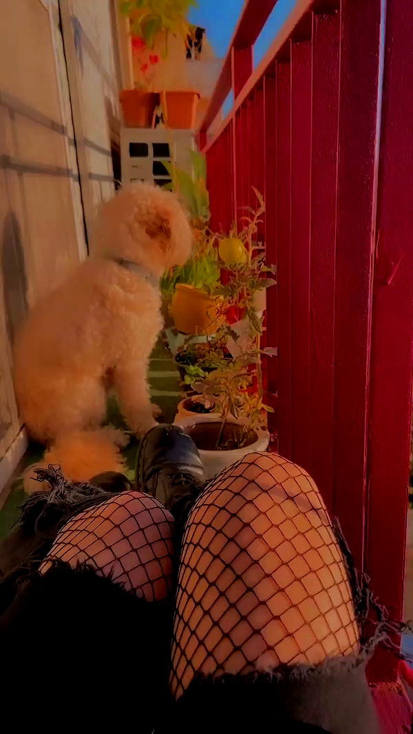 feelbetterinmysweater archive video preview