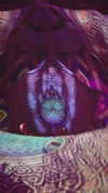 calyen Altpins Profile Picture