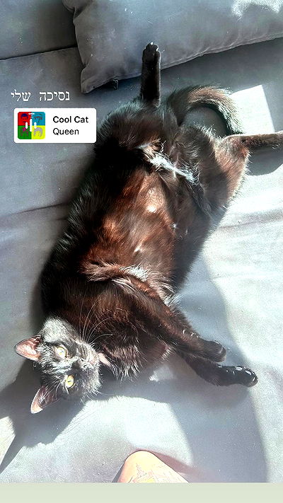 hellokittyangel666 hellokittyangel666 archive video