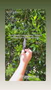 sarah.anne.dipity Altpins Profile Picture
