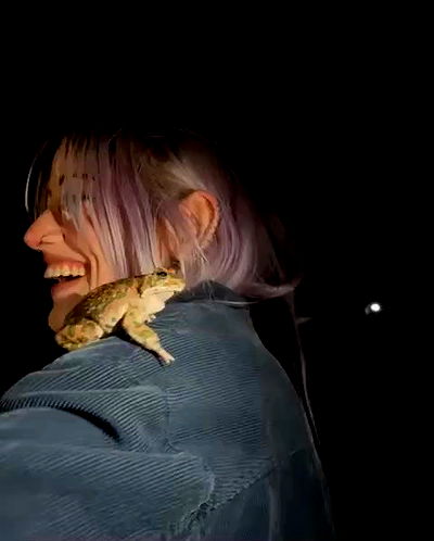 feelbetterinmysweater feelbetterinmysweater archive video