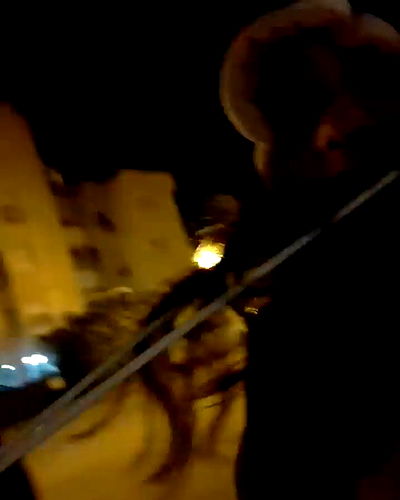 tuliprivet tuliprivet archive video