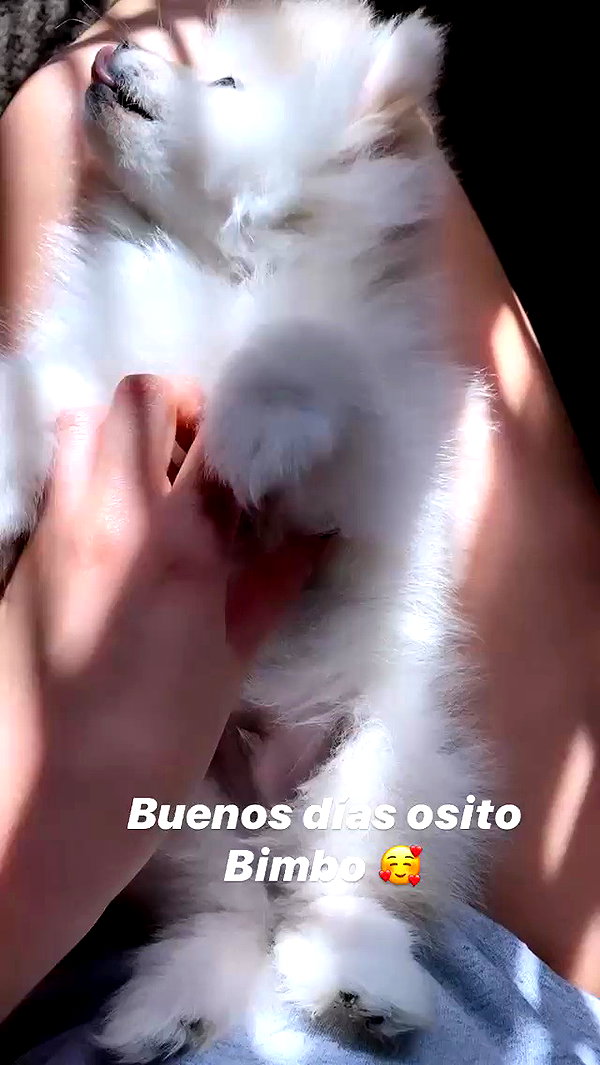 jailyneojeda archive video preview